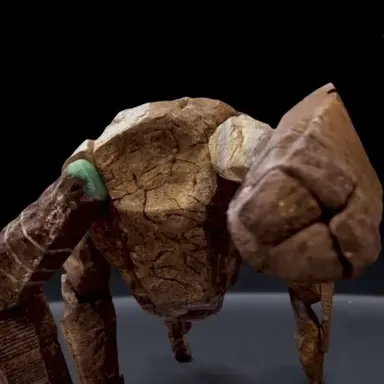 Profile image of Rocky