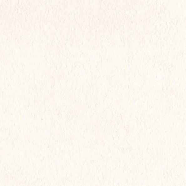 小森碧