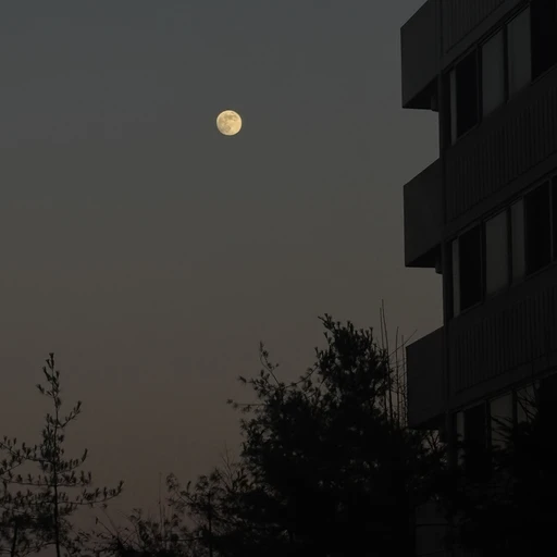 이찭