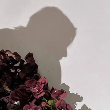 Profile image of 蓮