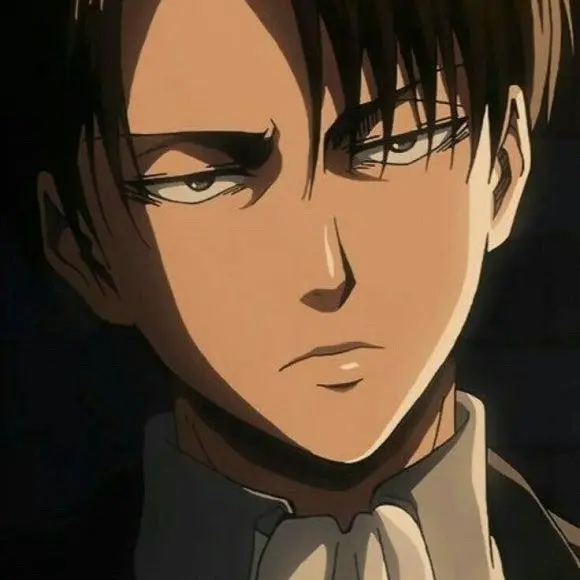 Dalyoon의 리바이 아커만