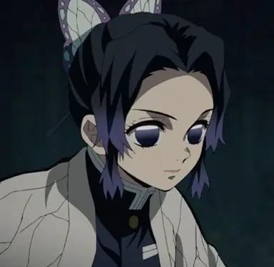 Profile image of 胡蝶しのぶ