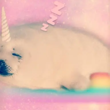 Profile image of Sealie