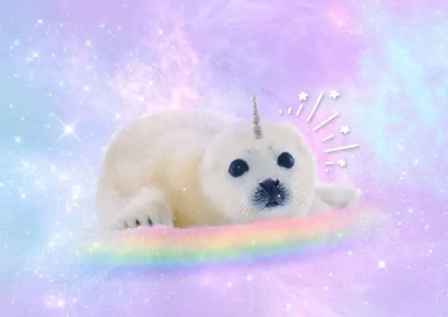 Profile image of Sealen