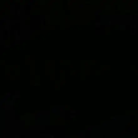 2000.6.6의 ­