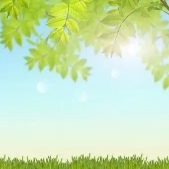 Profile image of 파라라