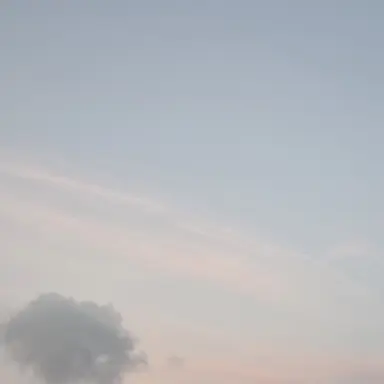 Profile image of 게스트 1337