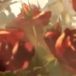 Profile image of ゼラシア