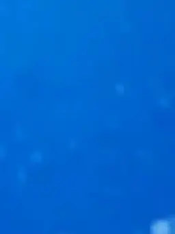 JaggedState2171의 幼少期瀬名泉