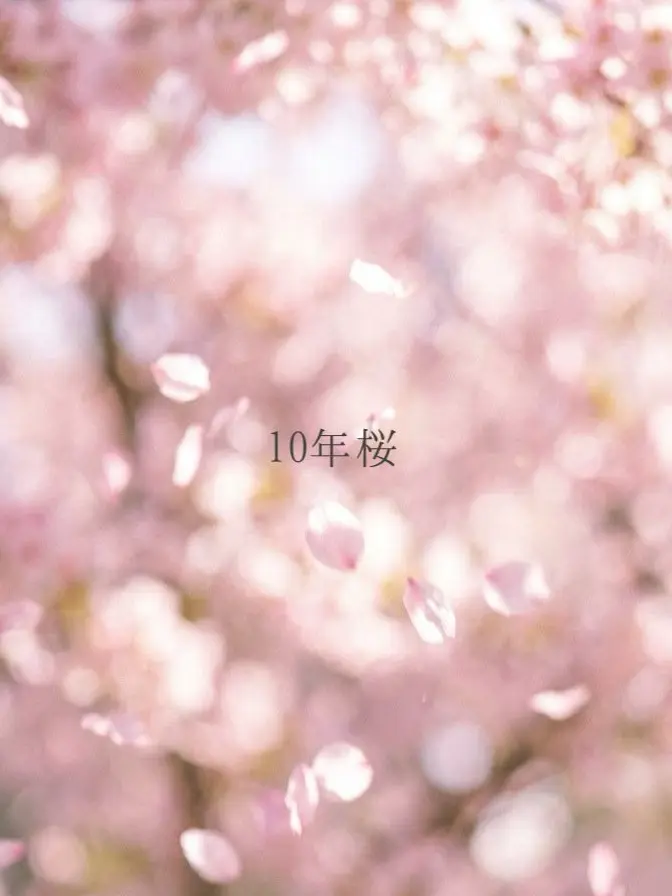 momonon의 10年桜