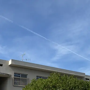 Profile image of 夏コラボメンバー