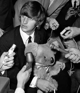 Profile image of Ringo Starr