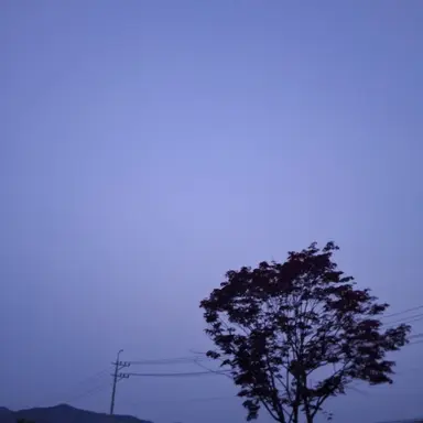 Profile image of 조예린