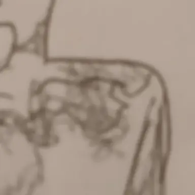 Profile image of 中の人