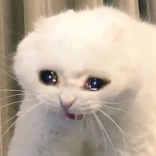 GIGIdesu의 유지민