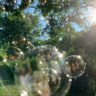 Profile image of 정 공 룡