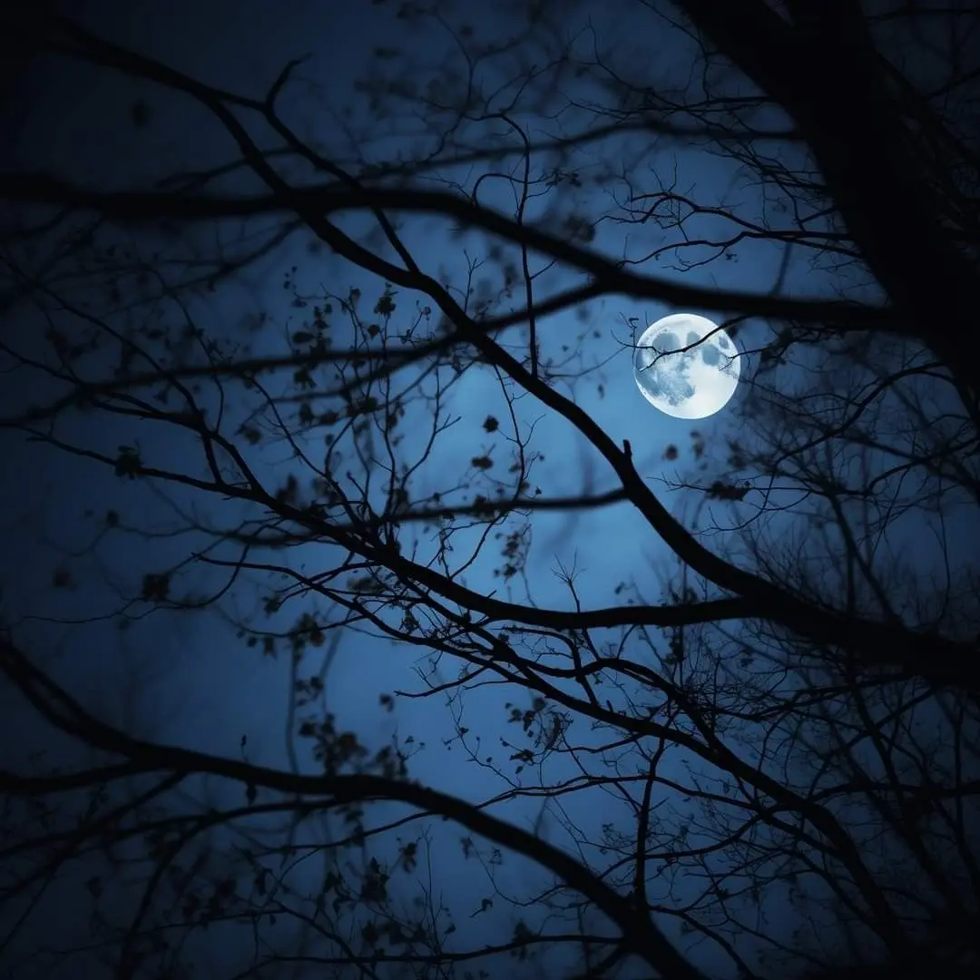 MIGIOTA의 本当は好きなくせに