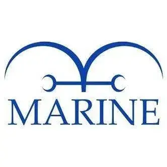 Profile image of The Marines of One Piece