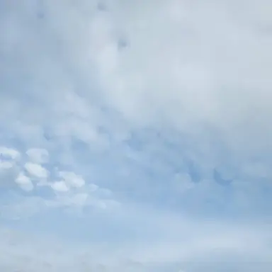 Profile image of 감제이