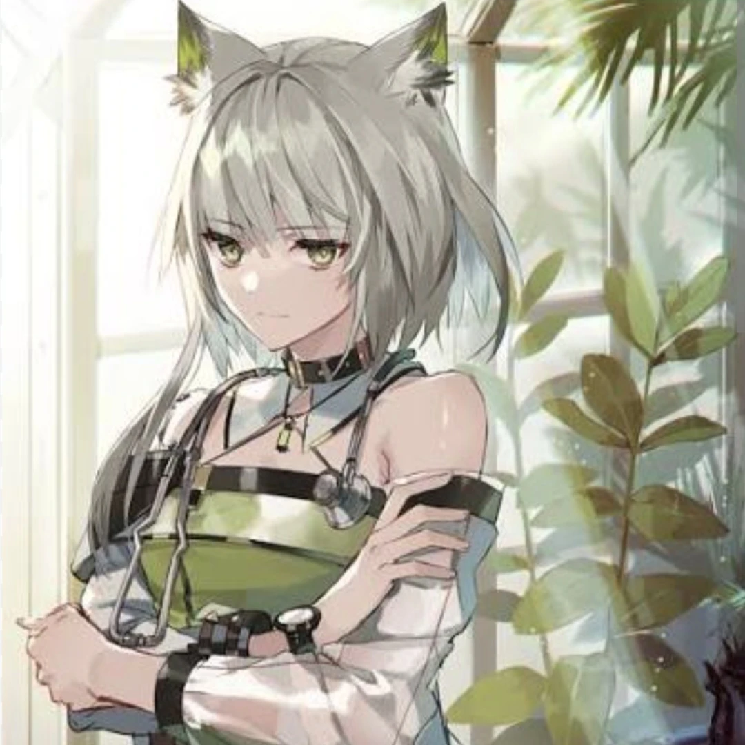 켈시