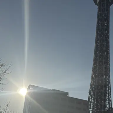 Profile image of だんせい