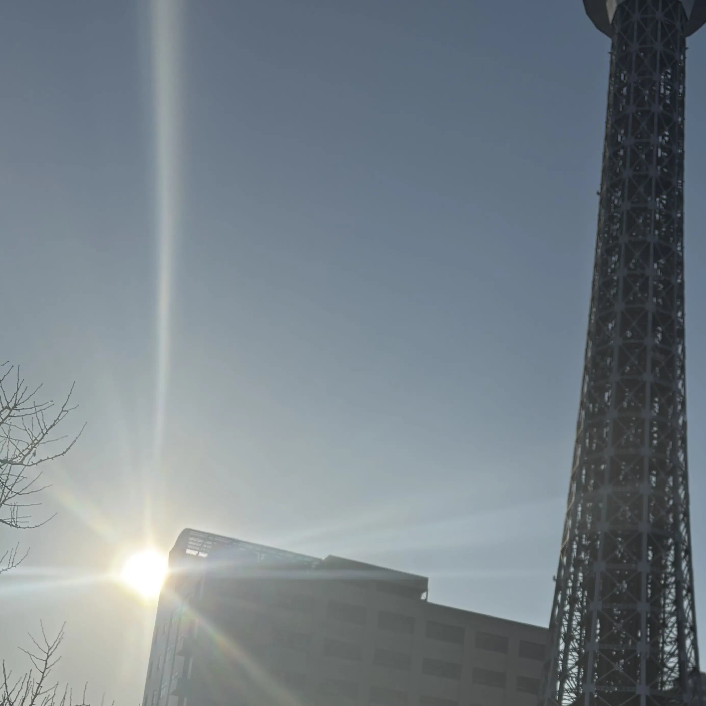 VoicedDill9292의 ひこうき