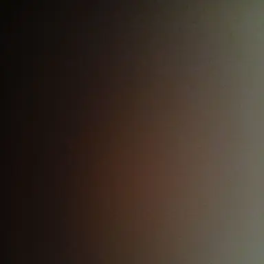 Profile image of 코쿠시보