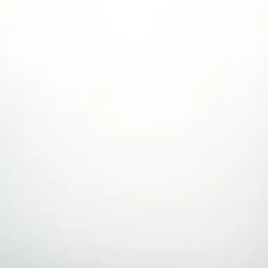 Profile image of 貴志