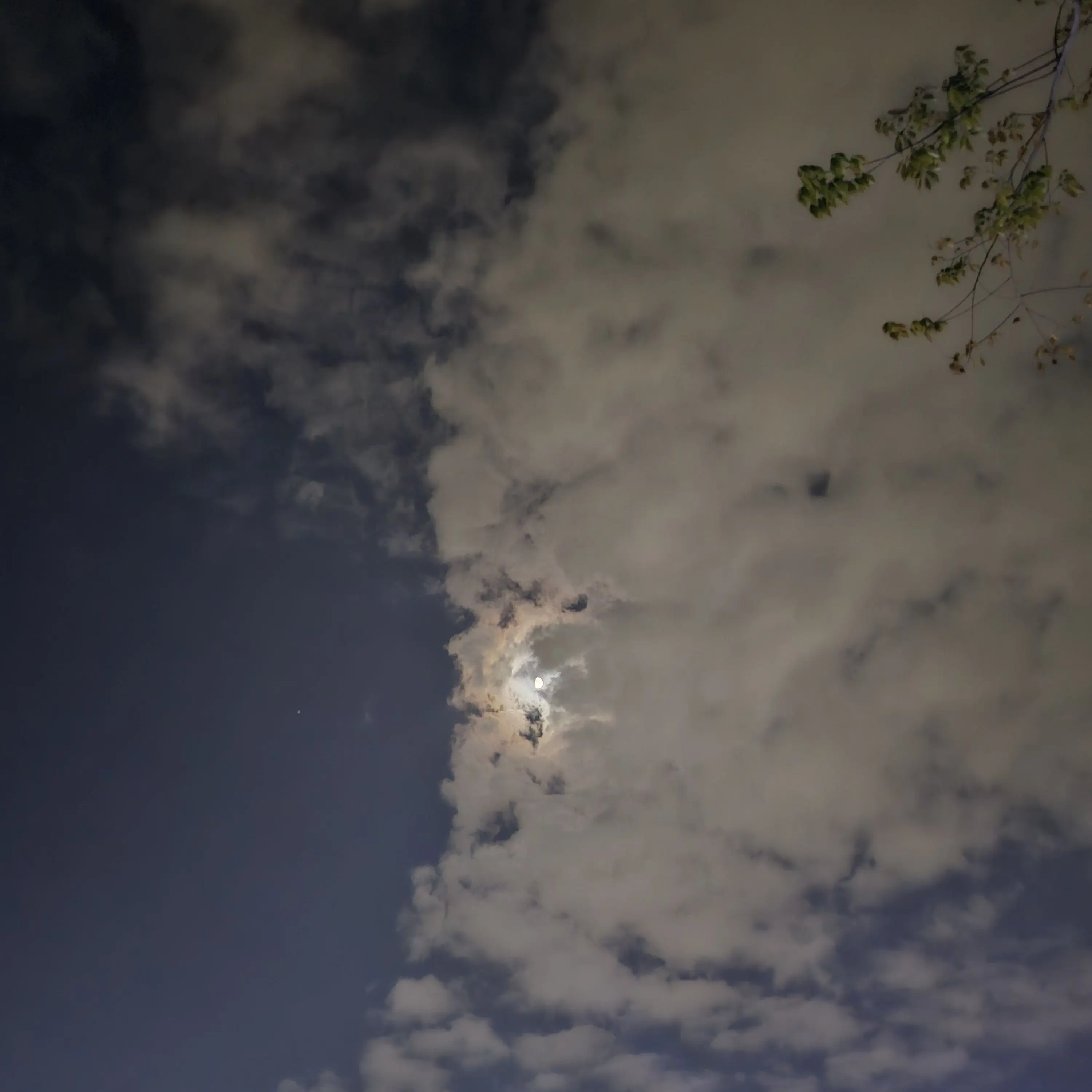 KBoSu5233의 멍청한 당신이 밉다