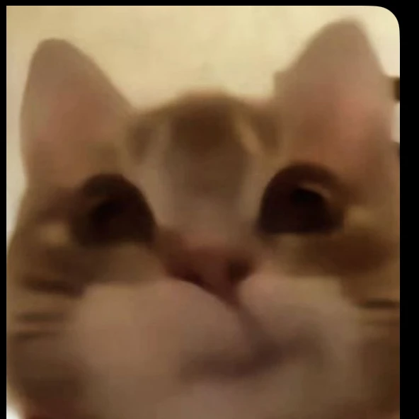 나레이션