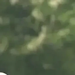 이지훈