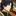 四乃森 蒼紫