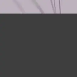 wja.sim_maegumi의 사이키 쿠스오