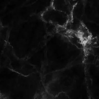 Profile image of 目黒蓮