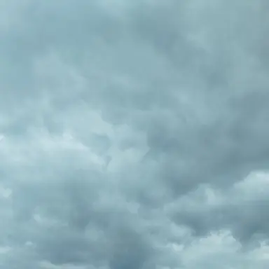 Profile image of 時雨