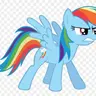 Profile image of Rainbow Dash