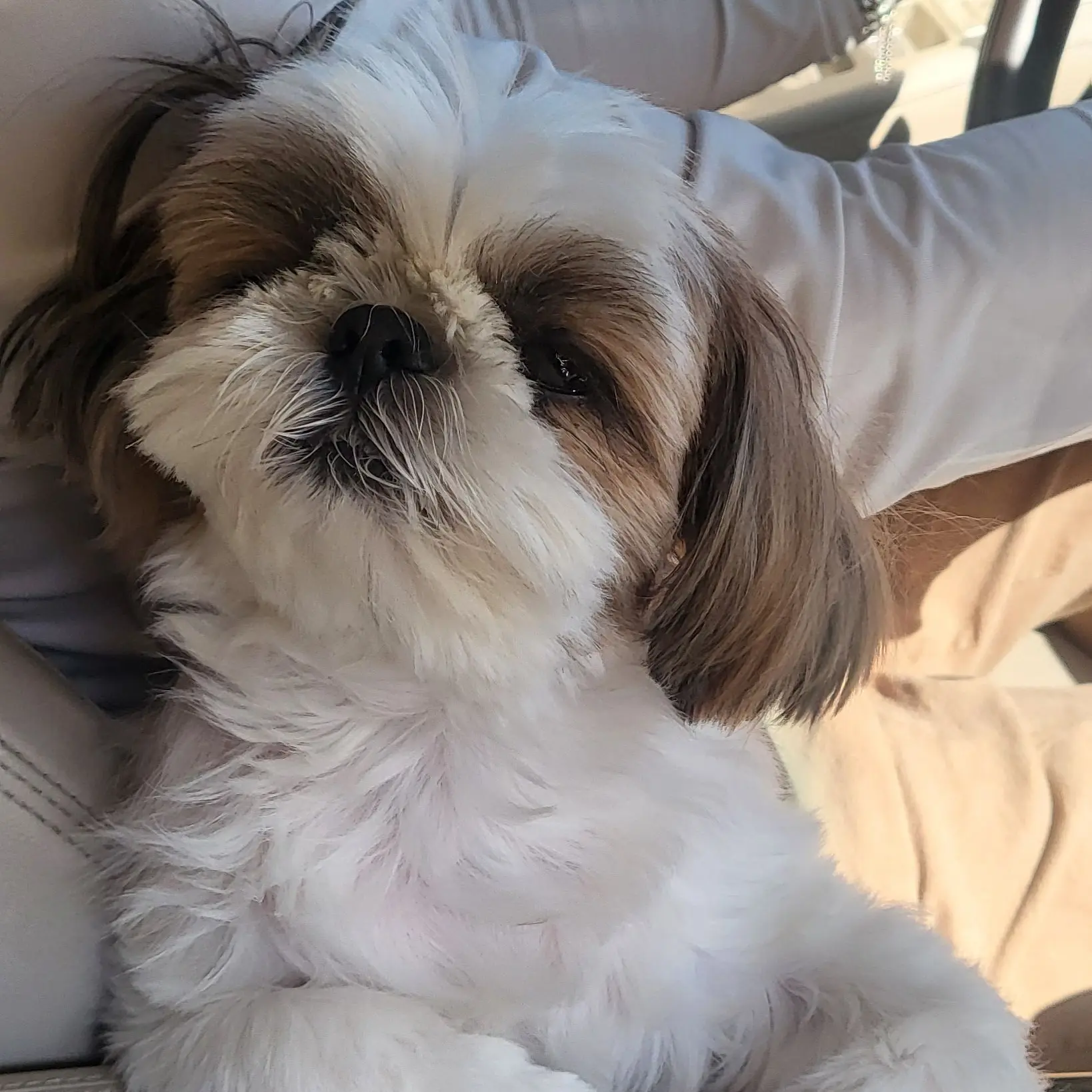 SureSpit8333의 가강전으로만든영화 +여우