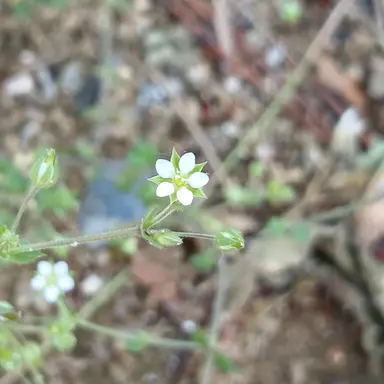 Profile image of 다크카카오