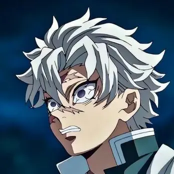 Profile image of Sanemi Shinazugawa