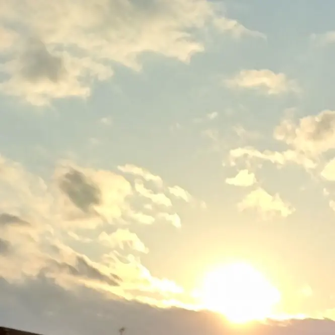 49InDeadbody의 Current