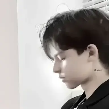 Profile image of Damir Novak