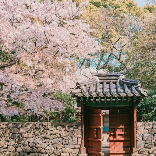 T1 in 조선 대표 이미지