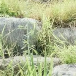 Profile image of 신준호