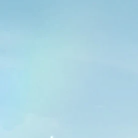 데이지