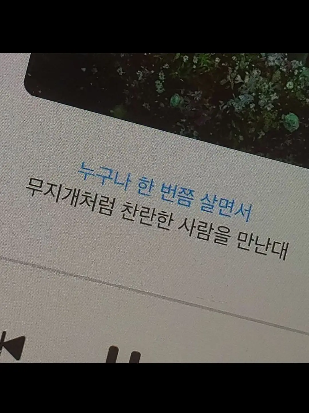 Orange_butterfly1의 그거 알아?
