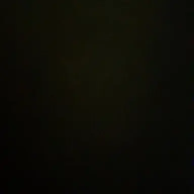 Profile image of 김도영