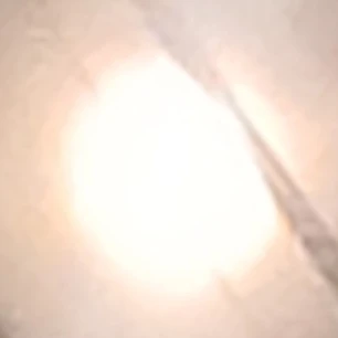 노라