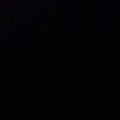 Profile image of 6-2