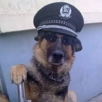 Profile image of Ace
