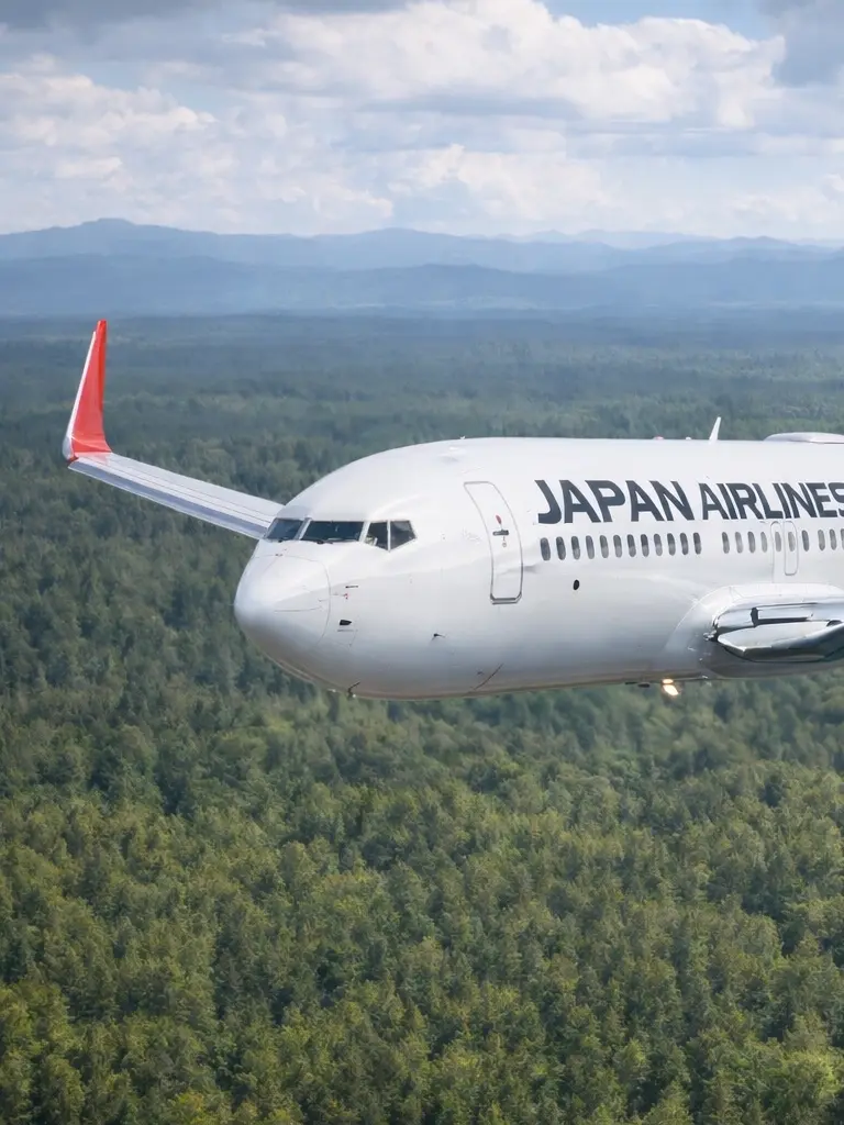 Fo-you-의 転生先がここ！？！？